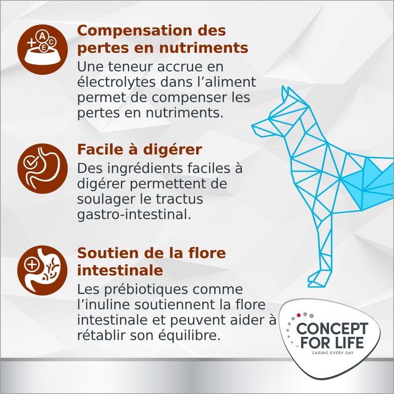 Concept for Life Veterinary Diet Gastro Intestinal pour chien