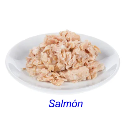 Plato blanco con trozos de salmón desmenuzado. Texto visible: Salmón.