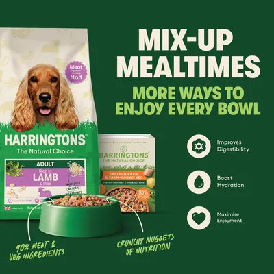 Harringtons The Natural Choice Adult Rich in Lamb & Rice, Tasty Chicken & Farm-Grown Veg. 90% meat and vegetable ingredients, crunchy nutrient nuggets, improved digestibility. Harringtons The Natural Choice Adult Rich in Lamb & Rice, Tasty Chicken & Farm-Grown Veg. 90% meat and vegetable ingredients, crunchy nutrient nuggets, improved digestibility.