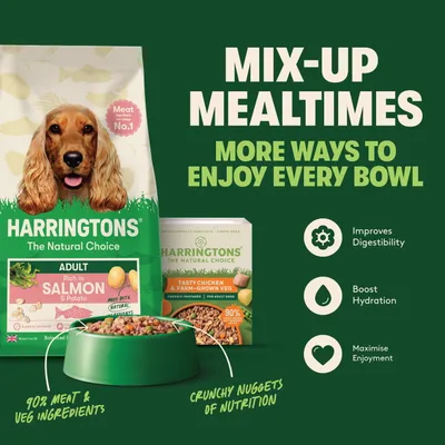 Harringtons The Natural Choice Adult, rich in salmon & potato, Tasty Chicken & Farm-Grown Veg, 90% meat and vegetable ingredients, crunchy Nuggets of Nutrition. Harringtons The Natural Choice Adult, rich in salmon & potato, Tasty Chicken & Farm-Grown Veg, 90% meat and vegetable ingredients, crunchy Nuggets of Nutrition.