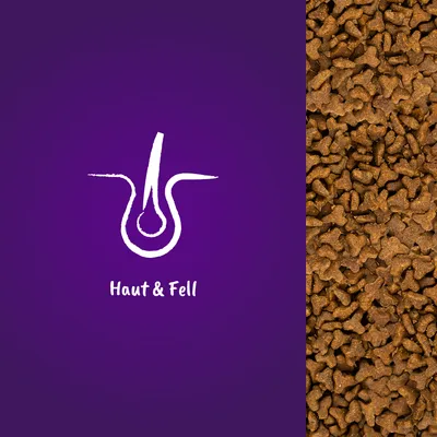 Illustration d’un follicule pileux avec le texte « Haut & Fell » et vue rapprochée de croquettes en forme d’os à droite.