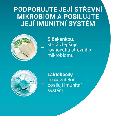 Podporujte její střevní mikrobiom a posilujte její imunitní systém. S čekankou, která zlepšuje rovnováhu střevního mikrobiomu. Laktobacily prokazatelně posilují imunitní systém.
