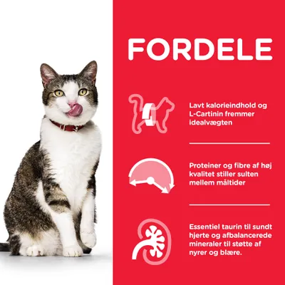 FORDELE: Lavt kalorieindhold og L-Carnitin fremmer idealvægten. Proteiner og fibre af høj kvalitet stiller sulten mellem måltider. Essentiel taurin og mineraler støtter nyrer og blære.