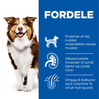 FORDELE: Proteiner af høj kvalitet understøtter slanke muskler. Afbalancerede mineraler til sundt hjerte og sunde nyrer. Omega-6 fedtsyrer og E-vitaminer til smuk hud og pels.