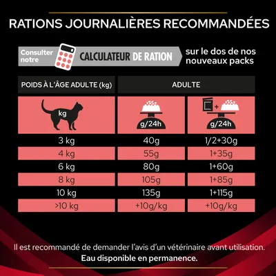 Tableau des rations journalières recommandées pour chats adultes : 3 kg 40 g, 4 kg 55 g, 6 kg 80 g, 8 kg 105 g, 10 kg 135 g, plus de 10 kg +10 g/kg. Eau disponible en permanence.