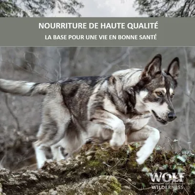 NOURRITURE DE HAUTE QUALITÉ. LA BASE POUR UNE VIE EN BONNE SANTÉ. Wolf of Wilderness visible en bas à droite.