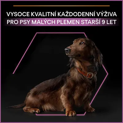 Vysocé kvalitní každodenní výživa pro psy malých plemen starší 9 let, obrázek malého psa s hnědým obojkem na černém pozadí.