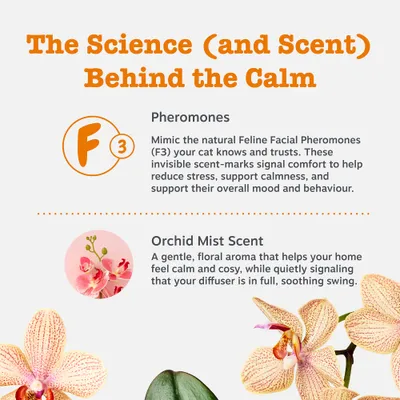 Zesty Paws Cat Calming Diffuser Kit Orchid Mist - 30g