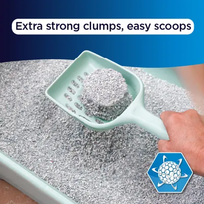 Ever Clean® Extra Strong Clumping Cat Litter - Scented