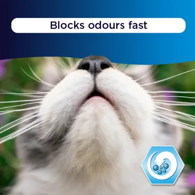 Ever Clean® Fast Acting Odour Control Clumping Cat Litter