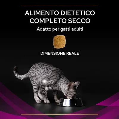 Alimento dietetico completo secco, adatto per gatti adulti. Crocchetta mostrata in dimensione reale, gatto grigio che mangia da una ciotola.