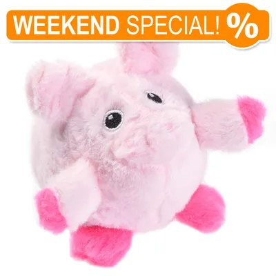 Testo in inglese: WEEKEND SPECIAL! %. Giocattolo per animali a forma di maialino rosa in peluche con zampe e orecchie rosa acceso.