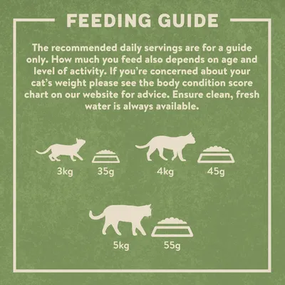 Feeding guide showing daily servings: 3kg cat 35g, 4kg cat 45g, 5kg cat 55g. Advice to adjust for age and activity, check body condition score, and provide fresh water.