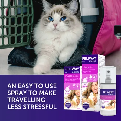 Feliway Classic calming spray packaging and bottle shown beside a cat in a carrier, with text stating an easy to use spray to make travelling less stressful.