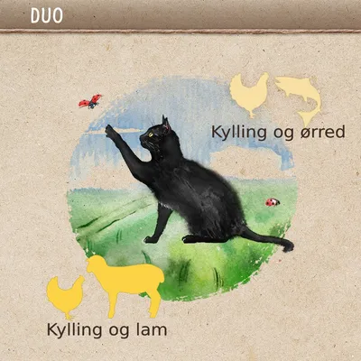 DUO. Illustration af sort kat. Tekst: Kylling og ørred med silhuetter af kylling og fisk, Kylling og lam med silhuetter af kylling og lam.