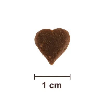 Gustare în formă de inimă, maro, cu dimensiunea de 1 cm. Scala este vizibilă.