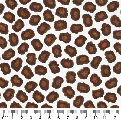 Close-up of brown, irregularly shaped dry food pieces with a centimetre scale at the bottom edge of the image.