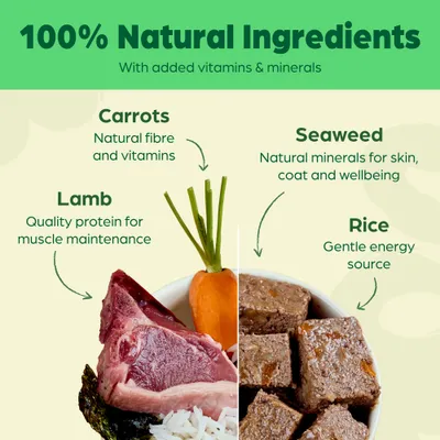 Naturediet Feel Good Adult - Lamb - 18 x 390g Naturediet Feel Good Adult - Lamb - 18 x 390g