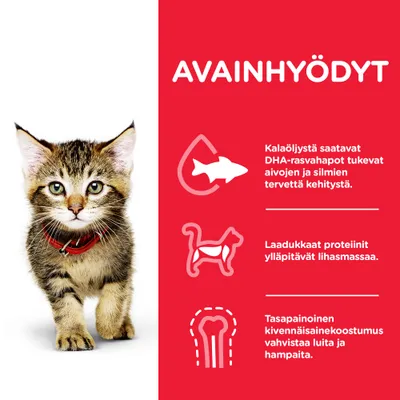 AVAINHYÖDYT: Kalaöljystä saatavat DHA-rasvahapot tukevat aivojen ja silmien tervettä kehitystä. Laadukkaat proteiinit ylläpitävät lihasmassaa. Tasapainoinen kivennäiskoostumus vahvistaa luita ja hampaita.