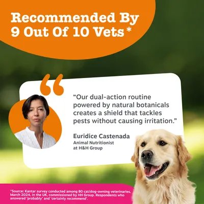 Zesty Paws Flea & Tick Shampoo - 250ml