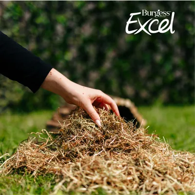 Burgess Excel Dried Fresh Grass Timothy Feeding Hay - 1kg Burgess Excel Dried Fresh Grass Timothy Feeding Hay - 1kg