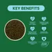 Burgess Excel Junior & Dwarf Rabbit Nuggets with Mint