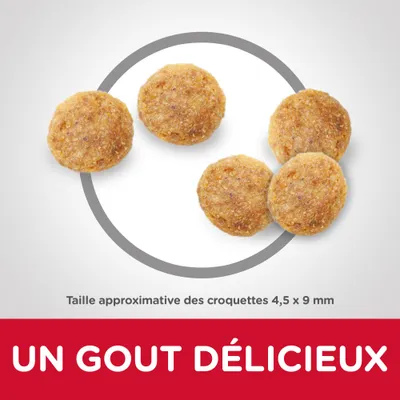 Taille approximative des croquettes 4,5 × 9 mm. Texte : UN GOUT DÉLICIEUX.