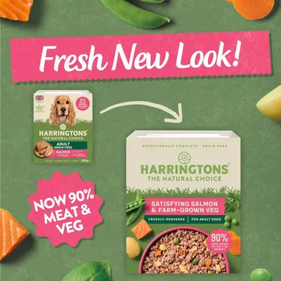 Harringtons pet food packaging update showing new design for Satisfying Salmon & Farm-Grown Veg, highlighting 90% meat and veg content. Text: Fresh New Look!