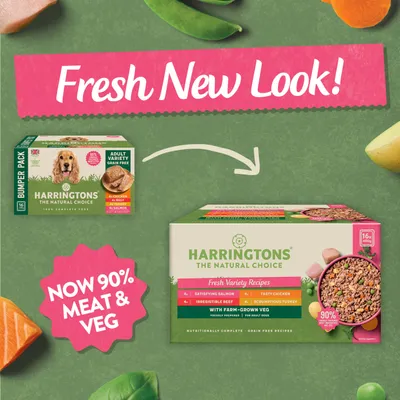Harringtons pet food packaging update shown with new design, highlighting 'Fresh New Look' and 'Now 90% Meat & Veg'. Includes variety recipes: salmon, chicken, beef, turkey.