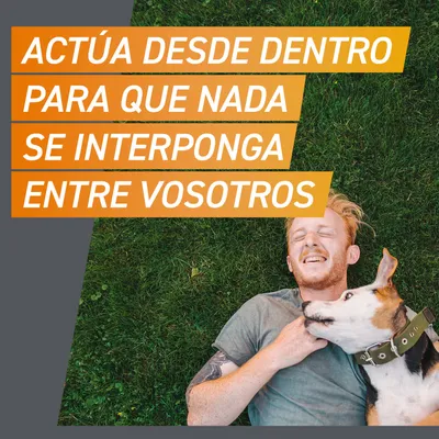 Texto: "Actúa desde dentro para que nada se interponga entre vosotros" sobre fondo naranja, hombre y perro tumbados sobre césped verde.