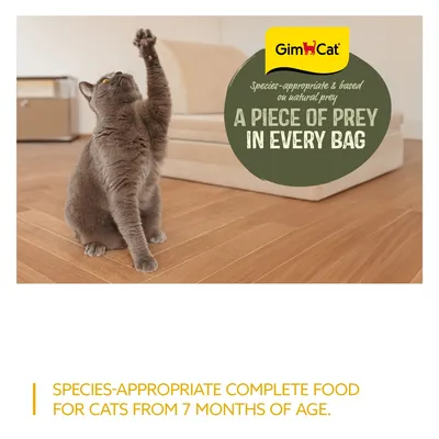 GimCat Near Nature Trial Pack 6 x 85g