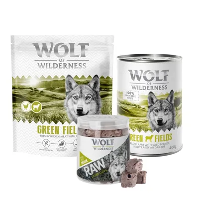 Pack de prueba mixto Wolf of Wilderness: pienso + comida húmeda + snacks