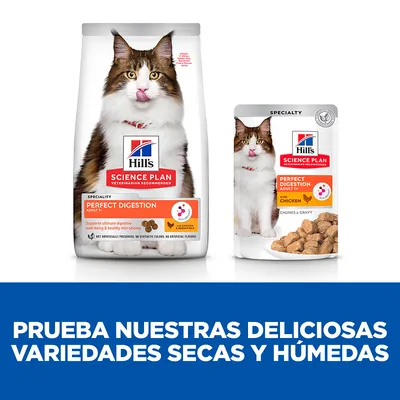 Hill's Science Plan Perfect Digestion Adult cat, envase de pienso seco y sobre de comida húmeda con pollo. Texto: Prueba nuestras deliciosas variedades secas y húmedas.