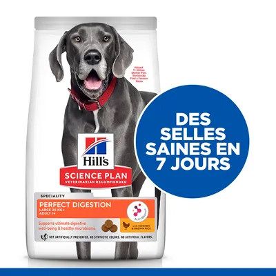 Hill's Science Plan Perfect Digestion pour chiens adultes 25 kg+, avec poulet et riz complet. Texte visible : Des selles saines en 7 jours. Sans conservateurs ni colorants artificiels.