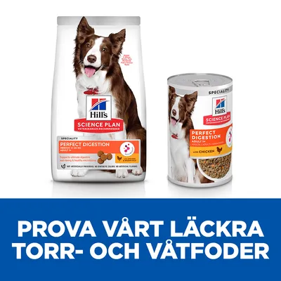 Hill's Science Plan Perfect Digestion torrfoder och våtfoder för hund, Adult 1+, med kyckling. Text: Prova vårt läckra torr- och våtfoder.