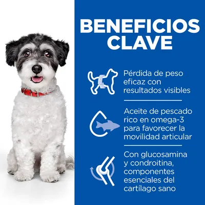 Beneficios clave: pérdida de peso eficaz, aceite de pescado rico en omega-3 para la movilidad articular, con glucosamina y condroitina para el cartílago sano.