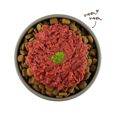 Miska s hnědými granulemi a červeným vlhkým krmivem, ozdobená lístkem petržele. Ručně psaný text: 'nom nom'. Miska s hnědými granulemi a červeným vlhkým krmivem, ozdobená lístkem petržele. Ručně psaný text: 'nom nom'.