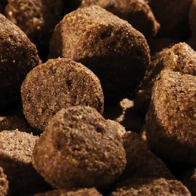 Close-up van bruine, ronde brokken droogvoer zonder zichtbaar merk of verpakking.