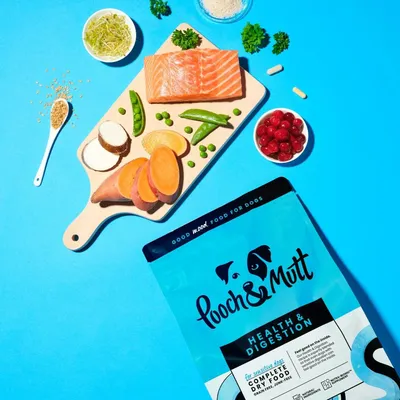 Pouch of Pooch & Mutt Health & Digestion dry food shown with salmon, sweet potato, peas, cranberries, and supplements to highlight key ingredients for sensitive digestion.