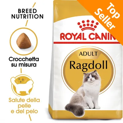 Royal Canin Ragdoll Adult