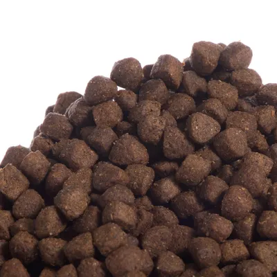 Närbild på bruna, små bitar torrfoder i pelletsform. Ingen synlig förpackning eller text.