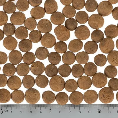 Okrugle smeđe granule suhe hrane za kućne ljubimce, prikazane uz ravnalo s mjerom u centimetrima od 0 do 10 radi prikaza veličine.