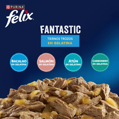 Jumbopack Felix Fantastic 80 x 85 g - Mix de pescado en gelatina (platija, salmón, atún, bacalao) Jumbopack Felix Fantastic 80 x 85 g - Mix de pescado en gelatina (platija, salmón, atún, bacalao)