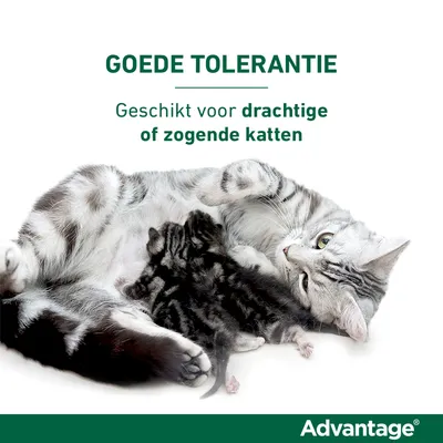 GOEDE TOLERANTIE. Geschikt voor drachtige of zogende katten. Advantage.