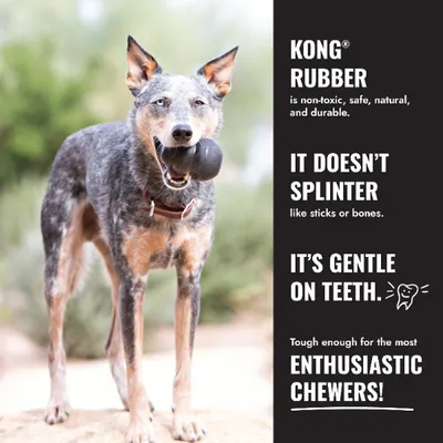 KONG Rubber: non-toxic, safe, natural and durable. Does not splinter, gentle on teeth, robust for enthusiastic chewers. KONG Rubber: non-toxic, safe, natural and durable. Does not splinter, gentle on teeth, robust for enthusiastic chewers.