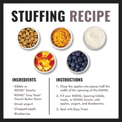 Recipe instructions for KONG filling: Ingredients include dry food, KONG Snacks, peanut butter cream, Greek yoghurt, apple pieces, and blueberries. Step-by-step instructions included. Recipe instructions for KONG filling: Ingredients include dry food, KONG Snacks, peanut butter cream, Greek yoghurt, apple pieces, and blueberries. Step-by-step instructions included.