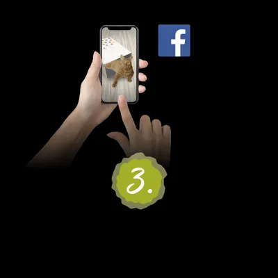 Χέρι κρατά κινητό με φωτογραφία γάτας, δάχτυλο αγγίζει την οθόνη. Εικονίδιο Facebook και πράσινος κύκλος με τον αριθμό 3.