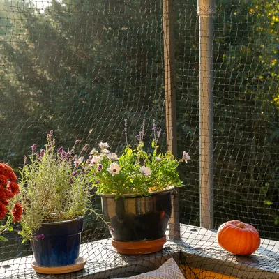 Schwarzes Schutznetz auf Balkon, umgeben von Pflanzen in Töpfen und einem Kürbis. Netz dient als Sicherheitsbarriere.