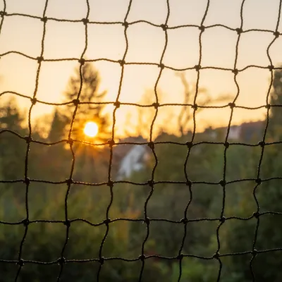 Schwarzes Netz mit quadratischer Maschenstruktur, im Hintergrund Sonnenuntergang und Bäume sichtbar.