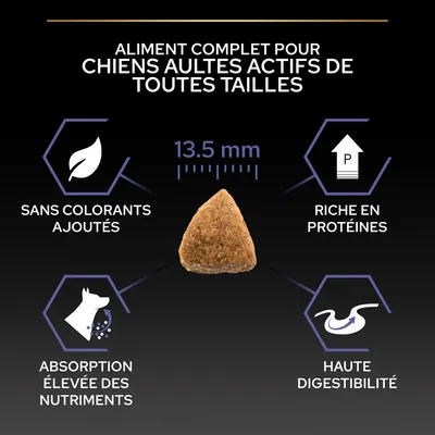 Aliment complet pour chiens adultes actifs de toutes tailles, croquettes de 13,5 mm, sans colorants, riche en protéines, absorption élevée des nutriments et haute digestibilité.